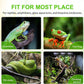 Automatic Reptile Mister with Timer & 6 Nozzles