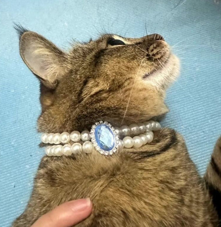 Cat Pearl Necklace Pet Collar
