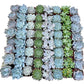 Bulk Echeveria Rosette Succulents