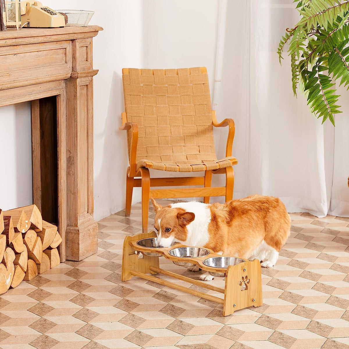 Elevated Dog Bowls for Cats and Dogs