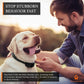 Wireless Dog Fence System Electric Collar Remote Underground 2 Dogs