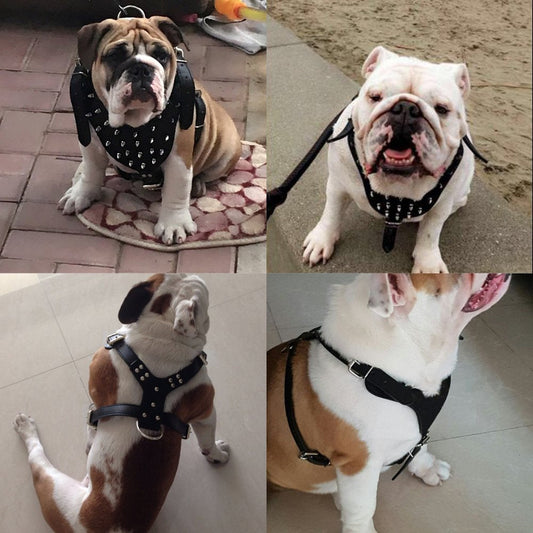 Large Dog Punk Style Rivet Chest Strap Explosion-proof Punch