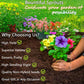 5 Types Of Seeds,Mix Creeping Thyme Seeds Ground Cover For Planting,Heirloom Non-GMO Thyme Purple, White, Red, Yellow Beautiful Perennial Flower