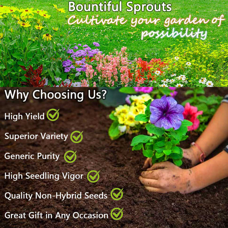 5 Types Of Seeds,Mix Creeping Thyme Seeds Ground Cover For Planting,Heirloom Non-GMO Thyme Purple, White, Red, Yellow Beautiful Perennial Flower