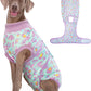 Dog Recovery Onesie Suit After Surgery – 4 Colors, XS–2XL