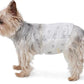 Male Dog Wraps, Disposable - Medium  Pack of 30 Wraps