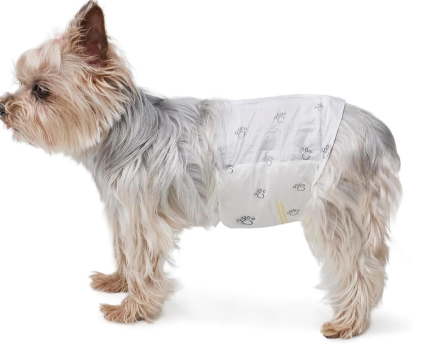 Male Dog Wraps, Disposable - Small Pack of 30 count