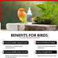 Liquid Iodine Supplement for Birds Feather Thyroid Support 4oz