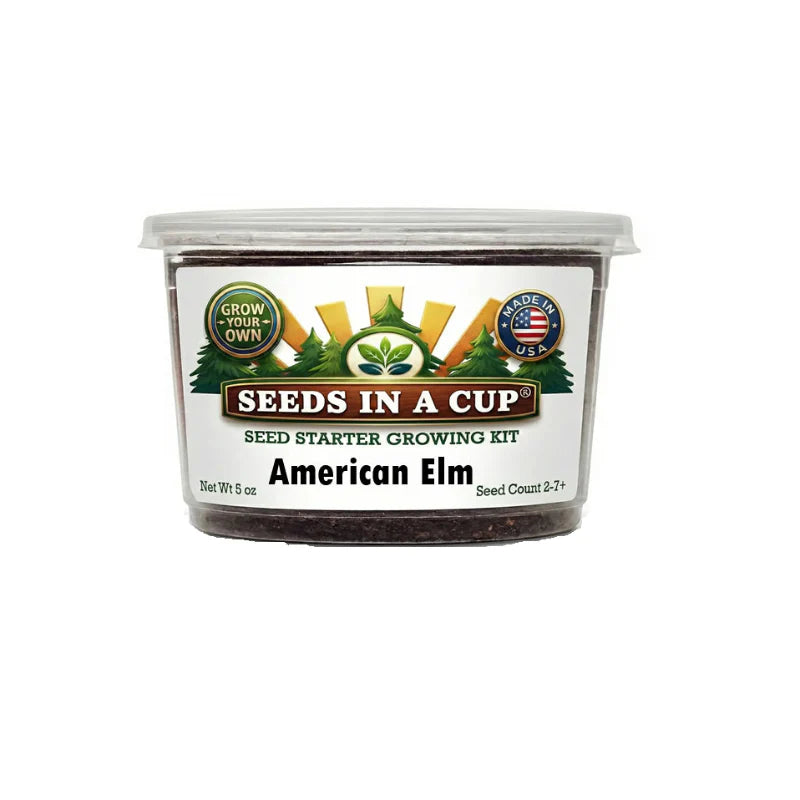 American Elm Grow Kit | Grow Elm Tree from Seed | Seeds In A Cup®