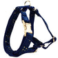 Dark Blue Velvet Set