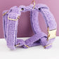 Teddy Purple Set