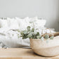 Eucalyptus Pulverulenta Baby Blue Seeds - Silver Leaved Mountain Gum - Powdered Gum - Mountain Silver Seeds - Rare and Viable Seeds