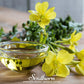 Common Evening Primrose – 100 Seeds