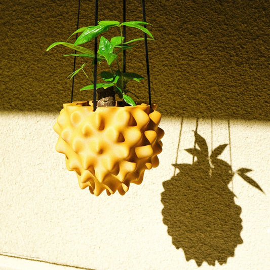 The Creature Orb Hanging Planter Pot With Drainage