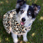 Jeffers Expression Moisture-Wicking Fleece Dog Coat