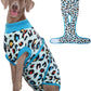 Dog Recovery Onesie Suit After Surgery – 4 Colors, XS–2XL