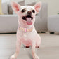 Adjustable cats and dogs Collars