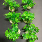 PREMIUM Small Artificial Aquarium Plants - Set of 6 - Aquatics Safe
