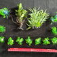Premium Artificial Aquarium Plant Package for Fish Tank. NATURE AT ITS BEST