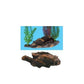 Tetra Water Wonders Coral decor with Plant Base Driftwood look, Large