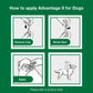 Flea Prevention for XL Dogs 55 Lbs+, 4-Monthly Treatments