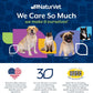 Dog Multivitamin Soft Chews 10 in 1 Joint Skin Digestion Immune 60ct