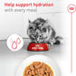 Senior Cat Wet Food 11+ Royal Canin Aging Thin Slices Gravy 3oz 12 Pack