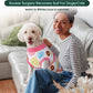 Dog Recovery Onesie Suit After Surgery – 4 Colors, XS–2XL