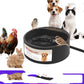 Pet Cat And Dog Bowl Heating Constant Temperature