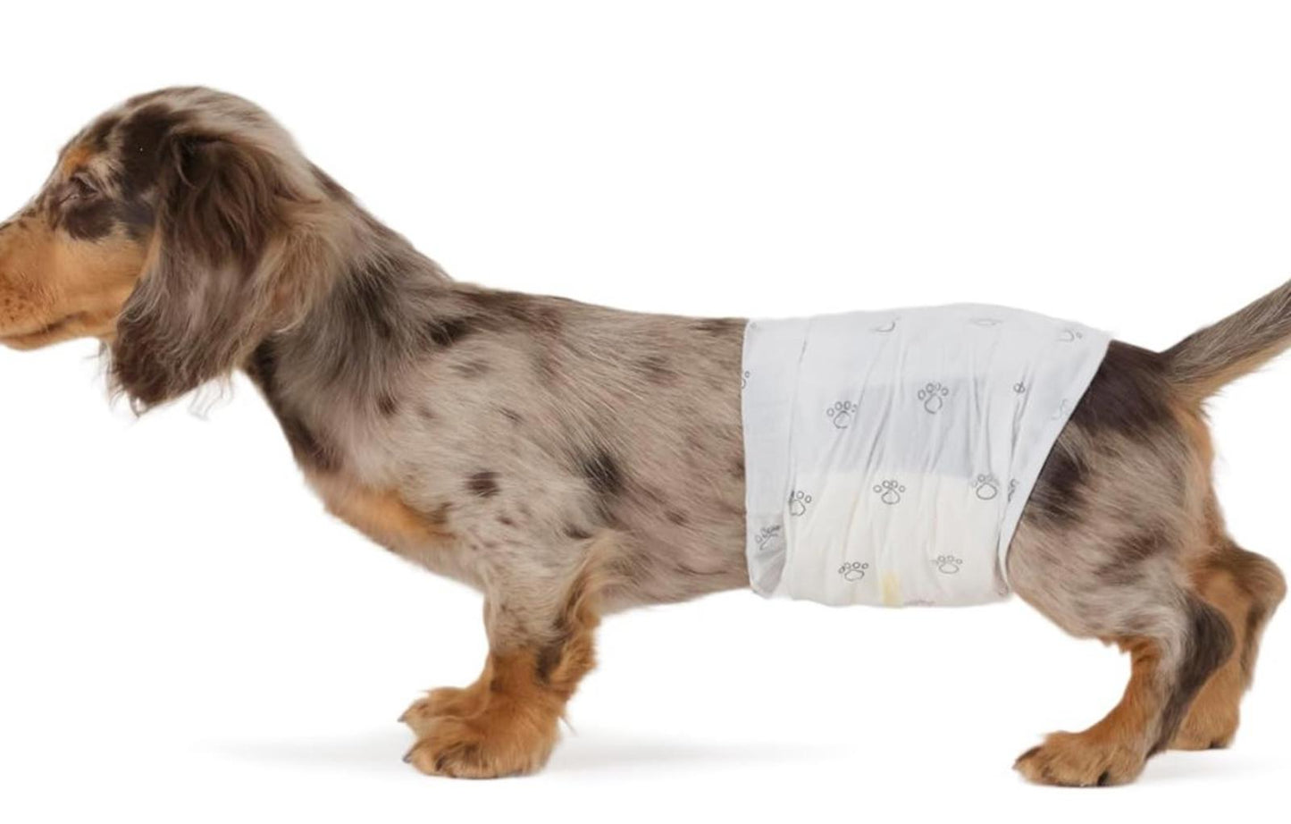 Male Dog Wraps, Disposable - Medium  Pack of 50 Wraps