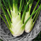 Fennel Florence - 200 Seeds - Non-Gmo Heirloom