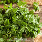 Fenugreek – 50 Seeds