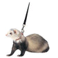 Marshall Pet Marshall Ferret Harness And Lead Combo ASST COLORS