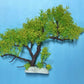 Artificial Aquarium Plant for Fish Tanks, TREE DECOR 16" aquarium plastic plant