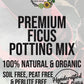 Ficus Premium Potting Mix