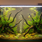 PremiumArtificial AquariumPlantPackage for Fish Tank, Small COLOR 6 pack