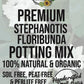 Stephanotis Floribunda Premium Potting Mix