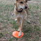 Bottle Top Flyer Rubber Frisbee for Dogs | Orange | Vet Approved | USA Made