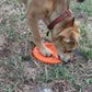 Bottle Top Flyer Rubber Frisbee for Dogs | Orange | Vet Approved | USA Made