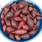 Red Onion Sets Non-GMO Red Baron Variety 50-60 Bulbs
