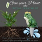 Prince Frog Watering Spike
