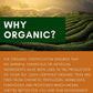 Turmeric Ginger Chai Tea, Anti-Inflammatory - Ayurvedic - Organic