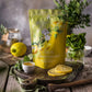 Lemon Spearmint Tea, Refreshing Herbal Blend - Organic & Kosher