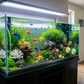 Hikari IntestiPro for Aquarium 3.5oz.