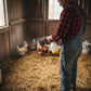 Martin's Pen & Poultry Insecticide Spray 32 oz.