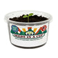 Cauliflower Grow Kit | Grow Cauliflower from Seed | Seeds In A Cup®