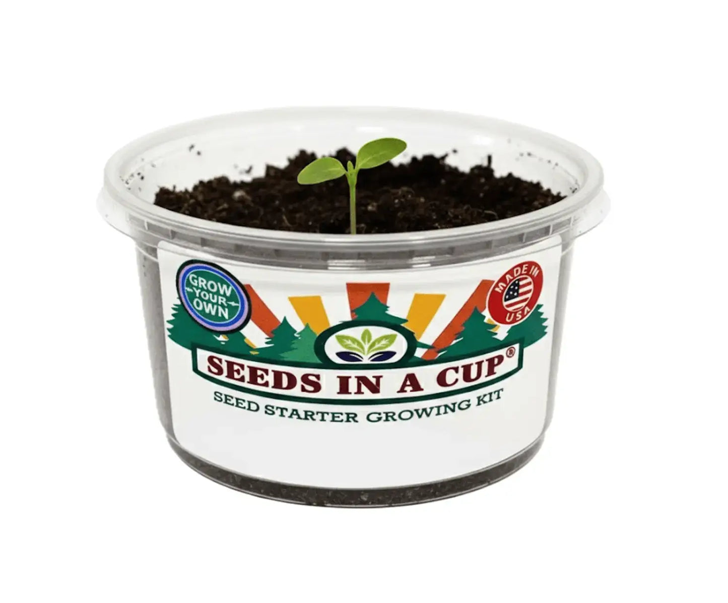 Cauliflower Grow Kit | Grow Cauliflower from Seed | Seeds In A Cup®
