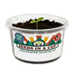 Seeds In A Cup®: Entire Garden in a Box- Choose 5 Pack!