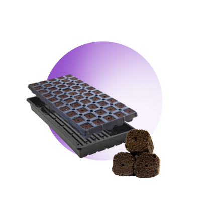 Plugues de siembra y esquejes OrganiPlug - Bandeja prellenada con 50 plugues - Unidad, caja y palé