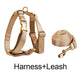 Gold Satin Wedding Set